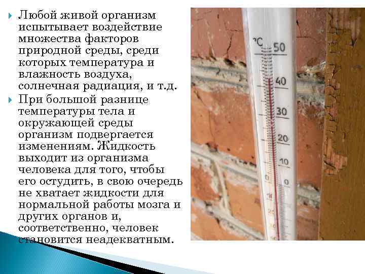 Любой живой организм испытывает воздействие множества факторов природной среды, среди которых температура и