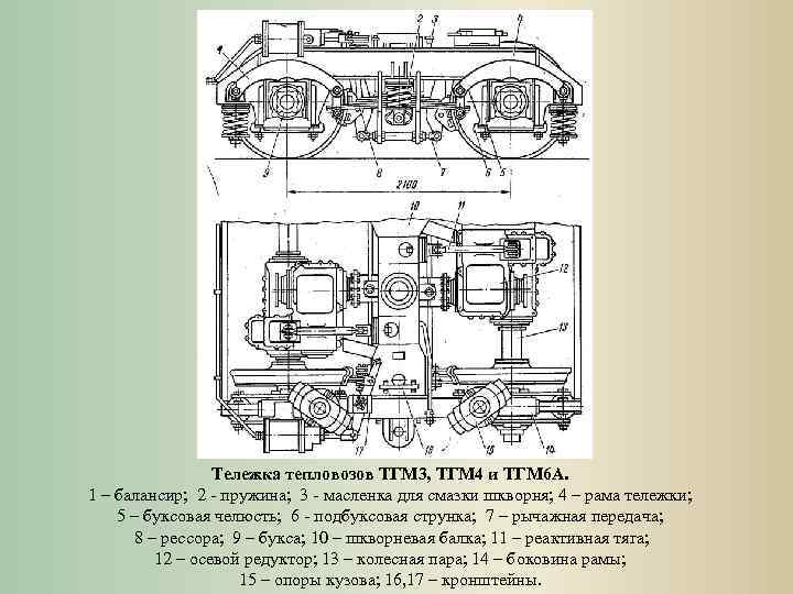 Схема тепловоза тгм 4