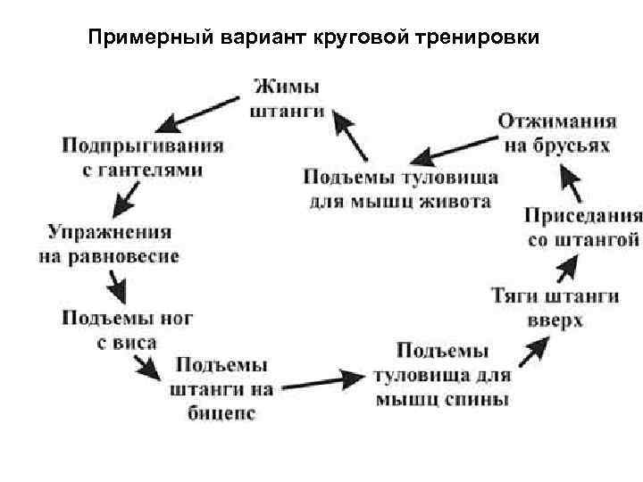 Примерный вариант круговой тренировки 