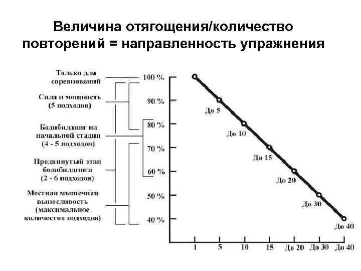 Величина отягощения/количество повторений = направленность упражнения 