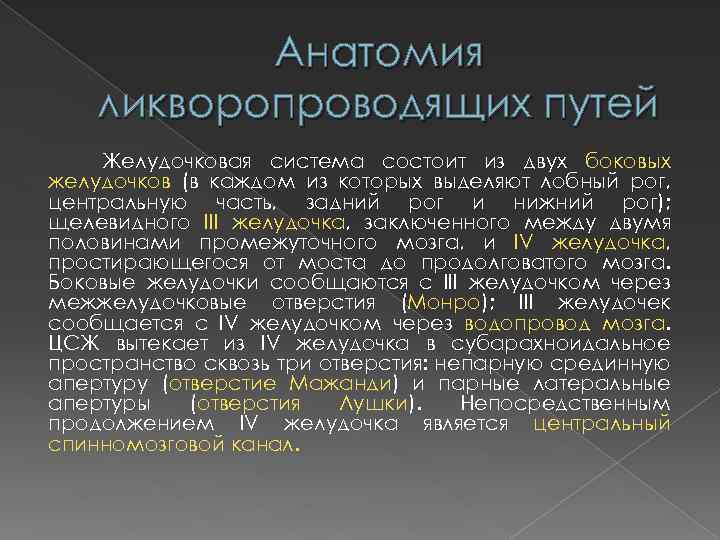 Анатомия ликворопроводящих путей Желудочковая система состоит из двух боковых желудочков (в каждом из которых