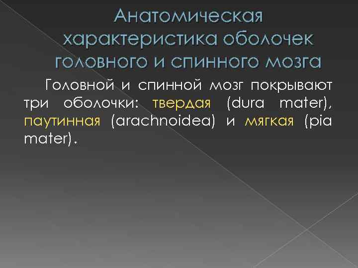 Анатомическая характеристика оболочек головного и спинного мозга Головной и спинной мозг покрывают три оболочки: