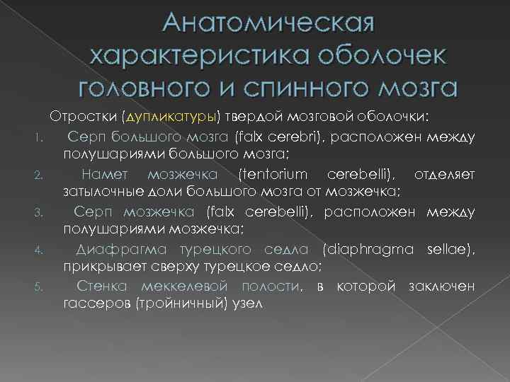 Анатомическая характеристика оболочек головного и спинного мозга 1. 2. 3. 4. 5. Отростки (дупликатуры)