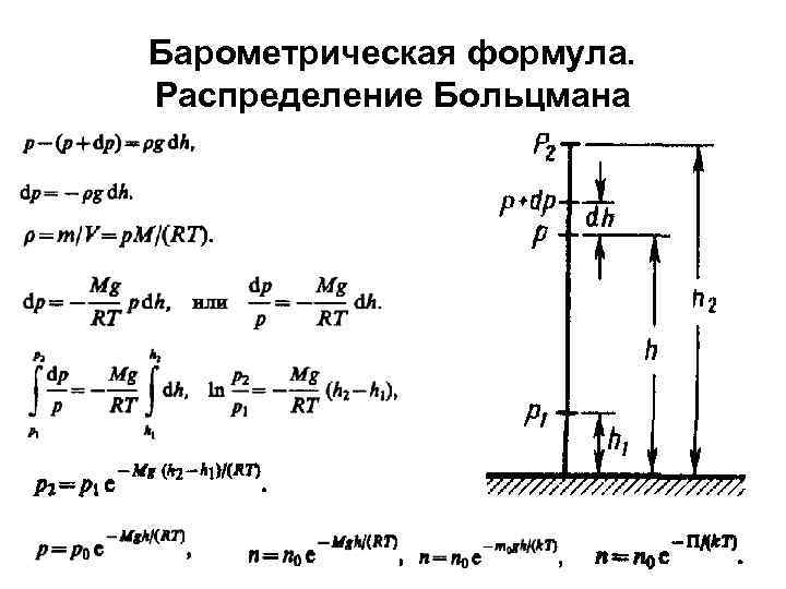 Барометрическая формула. Распределение Больцмана 