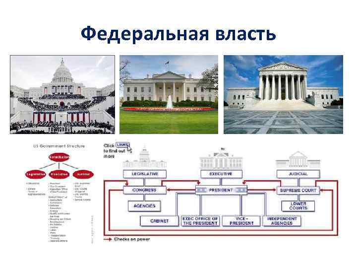 Органы власти сша