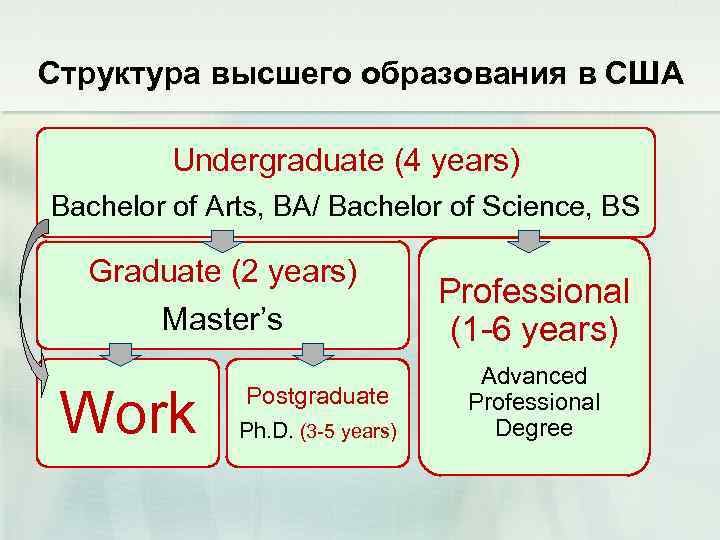 Структура высшего образования в США Undergraduate (4 years) Bachelor of Arts, BA/ Bachelor of