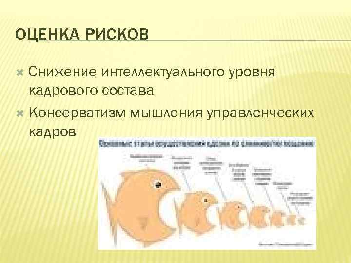 ОЦЕНКА РИСКОВ Снижение интеллектуального уровня кадрового состава Консерватизм мышления управленческих кадров 