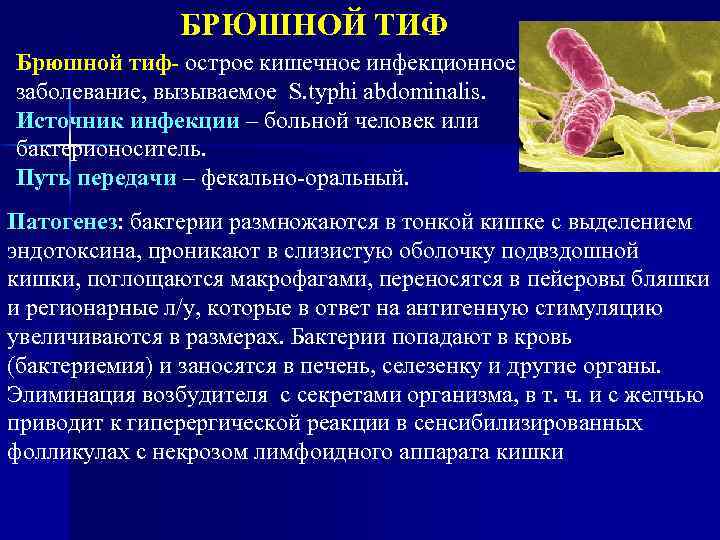 БРЮШНОЙ ТИФ Брюшной тиф- острое кишечное инфекционное заболевание, вызываемое S. typhi abdominalis. Источник инфекции