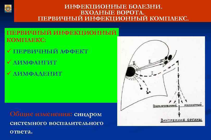 ИНФЕКЦИОННЫЕ БОЛЕЗНИ. ВХОДНЫЕ ВОРОТА. ПЕРВИЧНЫЙ ИНФЕКЦИОННЫЙ КОМПЛЕКС: ü ПЕРВИЧНЫЙ АФФЕКТ ü ЛИМФАНГИТ ü ЛИМФАДЕНИТ