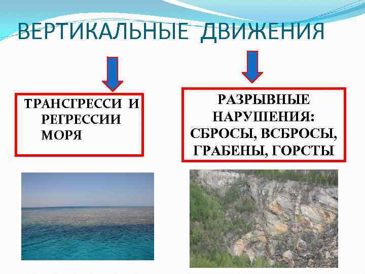 ВЕРТИКАЛЬНЫЕ ДВИЖЕНИЯ ТРАНСГРЕССИ И РЕГРЕССИИ МОРЯ РАЗРЫВНЫЕ НАРУШЕНИЯ: СБРОСЫ, ВСБРОСЫ, ГРАБЕНЫ, ГОРСТЫ 