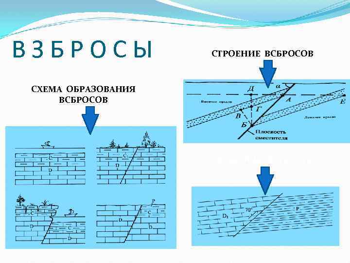 ВЗБРОСЫ СТРОЕНИЕ ВСБРОСОВ СХЕМА ОБРАЗОВАНИЯ ВСБРОСОВ ВСБРОСЫ В ПЛАНЕ 