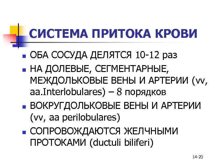 СИСТЕМА ПРИТОКА КРОВИ n n ОБА СОСУДА ДЕЛЯТСЯ 10 -12 раз НА ДОЛЕВЫЕ, СЕГМЕНТАРНЫЕ,