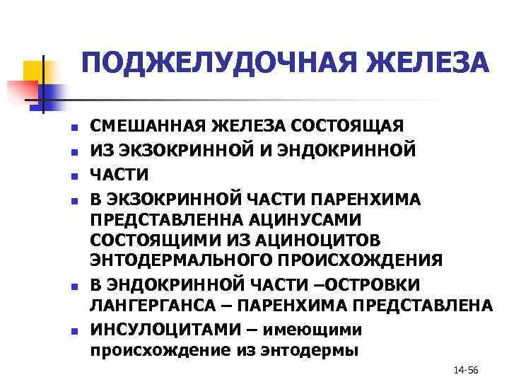 ПОДЖЕЛУДОЧНАЯ ЖЕЛЕЗА n n n СМЕШАННАЯ ЖЕЛЕЗА СОСТОЯЩАЯ ИЗ ЭКЗОКРИННОЙ И ЭНДОКРИННОЙ ЧАСТИ В