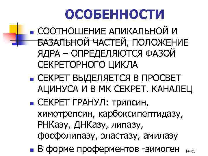 ОСОБЕННОСТИ n n СООТНОШЕНИЕ АПИКАЛЬНОЙ И БАЗАЛЬНОЙ ЧАСТЕЙ, ПОЛОЖЕНИЕ ЯДРА – ОПРЕДЕЛЯЮТСЯ ФАЗОЙ СЕКРЕТОРНОГО