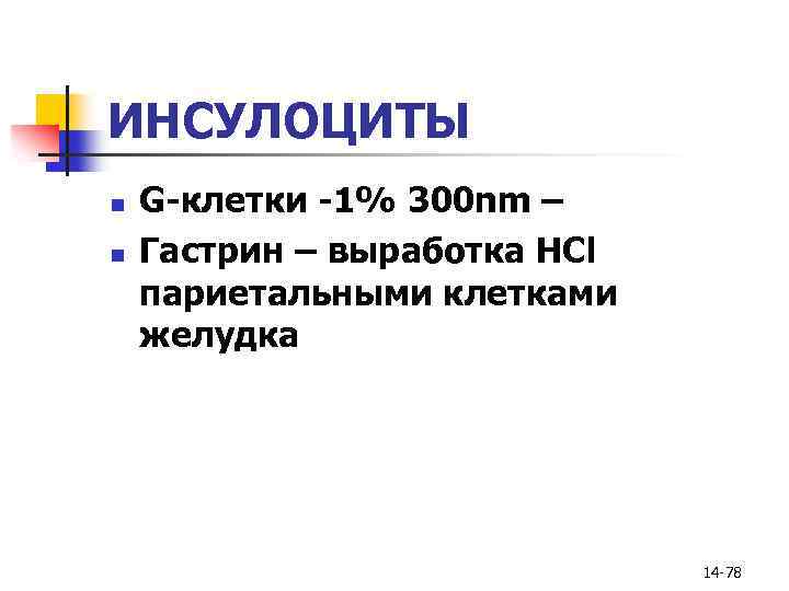 ИНСУЛОЦИТЫ n n G-клетки -1% 300 nm – Гастрин – выработка НСl париетальными клетками