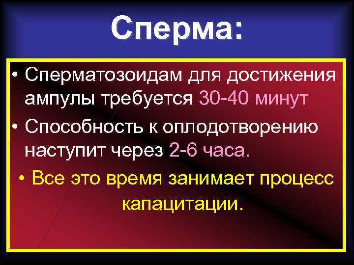 Сперма: • Сперматозоидам для достижения ампулы требуется 30 -40 минут • Способность к оплодотворению