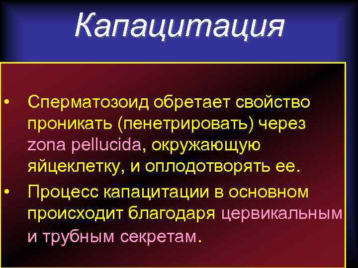 Капацитация • Сперматозоид обретает свойство проникать (пенетрировать) через zona pellucida, окружающую яйцеклетку, и оплодотворять