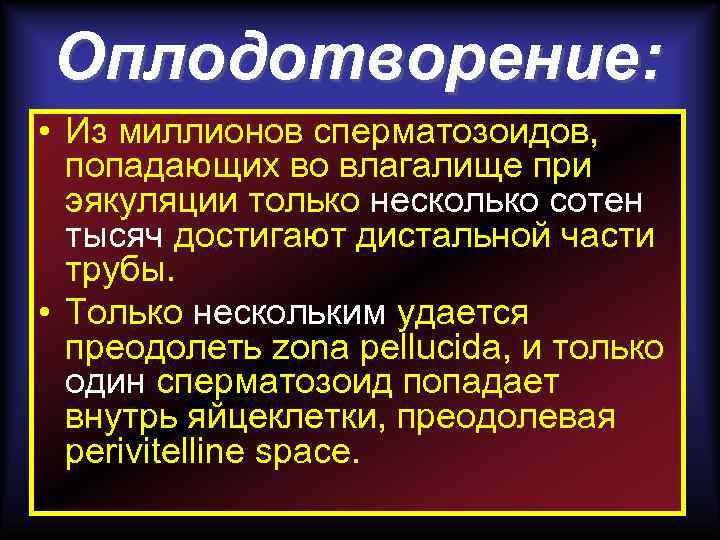 Оплодотворение: • Из миллионов сперматозоидов, попадающих во влагалище при эякуляции только несколько сотен тысяч