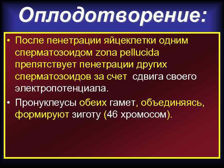 Оплодотворение: • После пенетрации яйцеклетки одним сперматозоидом zona pellucida препятствует пенетрации других сперматозоидов за