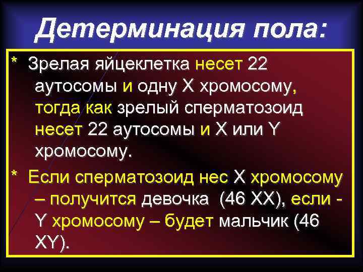 Детерминация пола: * Зрелая яйцеклетка несет 22 аутосомы и одну X хромосому, тогда как