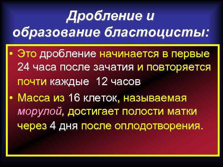 Дробление и образование бластоцисты: • Это дробление начинается в первые 24 часа после зачатия