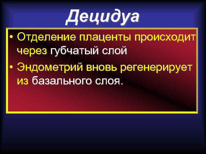 Децидуа • Отделение плаценты происходит через губчатый слой • Эндометрий вновь регенерирует из базального