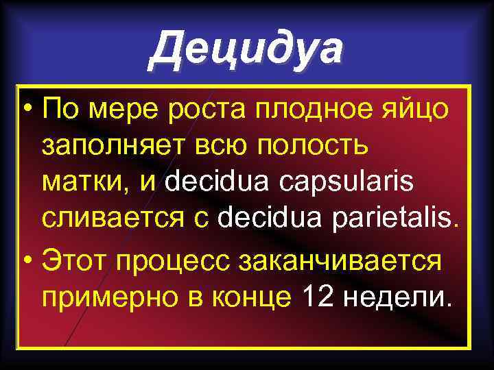 Децидуа • По мере роста плодное яйцо заполняет всю полость матки, и decidua capsularis