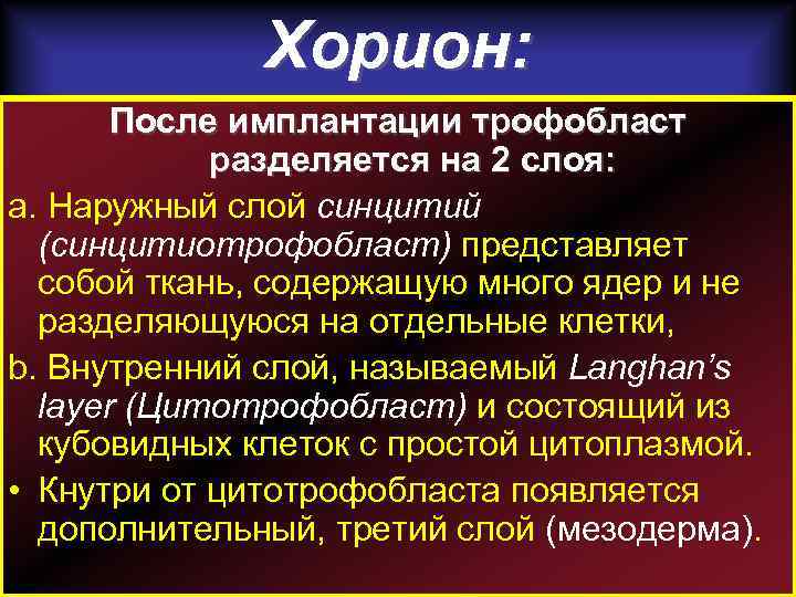 Хорион: После имплантации трофобласт разделяется на 2 слоя: a. Наружный слой синцитий (синцитиотрофобласт) представляет