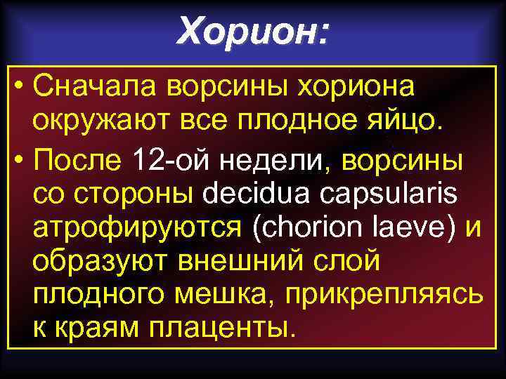 Хорион: • Сначала ворсины хориона окружают все плодное яйцо. • После 12 -ой недели,