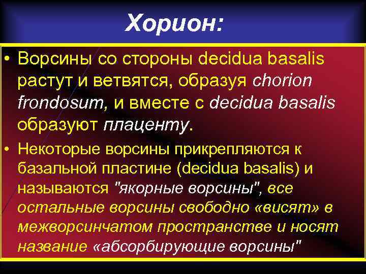 Хорион: • Ворсины со стороны decidua basalis растут и ветвятся, образуя chorion frondosum, и