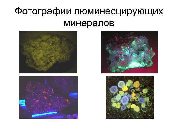 Фотографии люминесцирующих минералов 