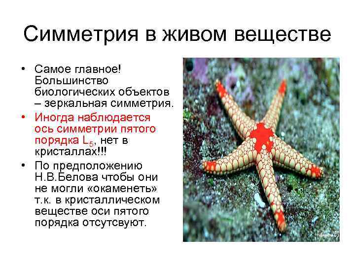 Симметрия в живом веществе • Самое главное! Большинство биологических объектов – зеркальная симметрия. •