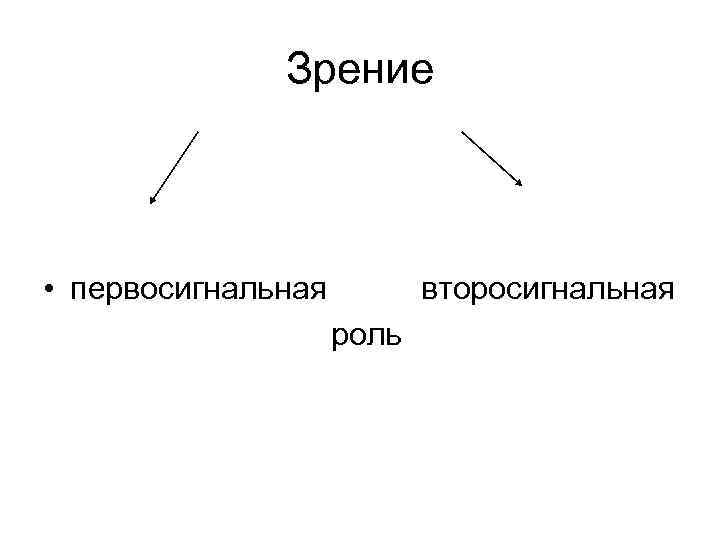 Зрение • первосигнальная второсигнальная роль 