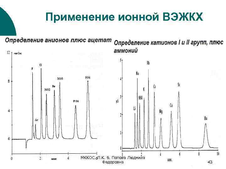 Применение ионной ВЭЖКХ МККОС. Л. К. 6. Попова Людмила Федоровна 43 