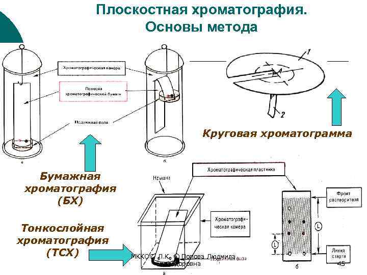 Плоскостная хроматография. Основы метода Круговая хроматограмма Бумажная хроматография (БХ) Тонкослойная хроматография (ТСХ) МККОС. Л.