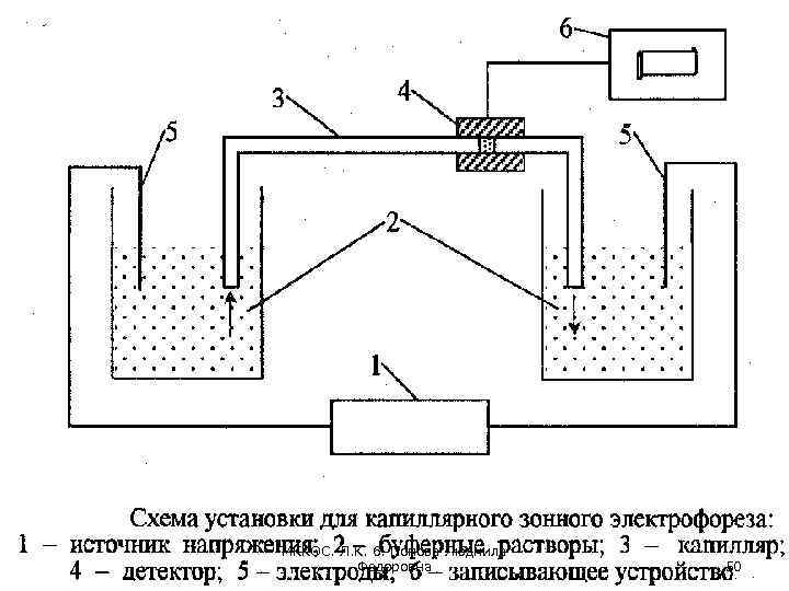 МККОС. Л. К. 6. Попова Людмила Федоровна 50 