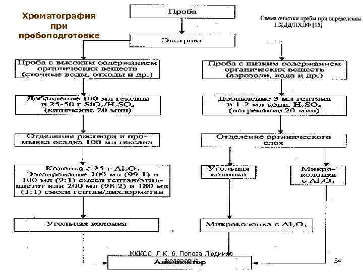 Хроматография при пробоподготовке МККОС. Л. К. 6. Попова Людмила Федоровна 54 
