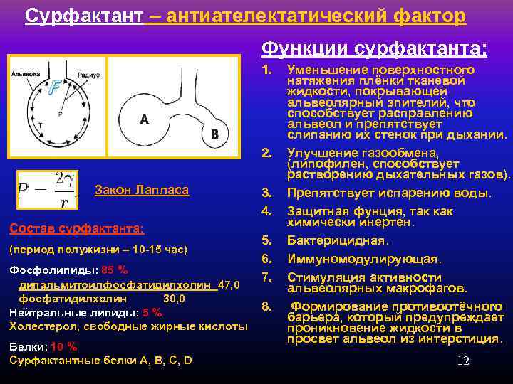 Сурфактант – антиателектатический фактор Функции сурфактанта: 1. 2. Закон Лапласа Состав сурфактанта: (период полужизни
