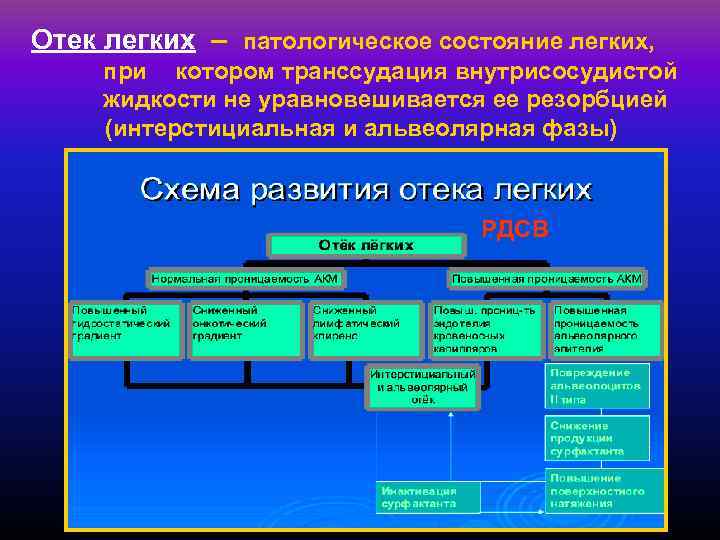Отек легких – патологическое состояние легких, при котором транссудация внутрисосудистой жидкости не уравновешивается ее