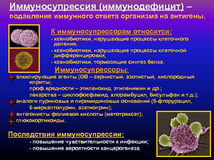 Иммуносупрессия (иммунодефицит) – подавление иммунного ответа организма на антигены. К иммуносупрессорам относятся: - ксенобиотики,