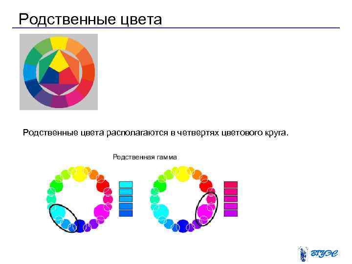 Родственные цвета располагаются в четвертях цветового круга. 