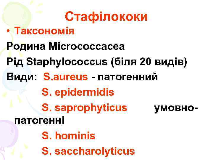Стафілококи • Таксономія Родина Micrococcacea Рід Staphylococcus (біля 20 видів) Види: S. aureus -