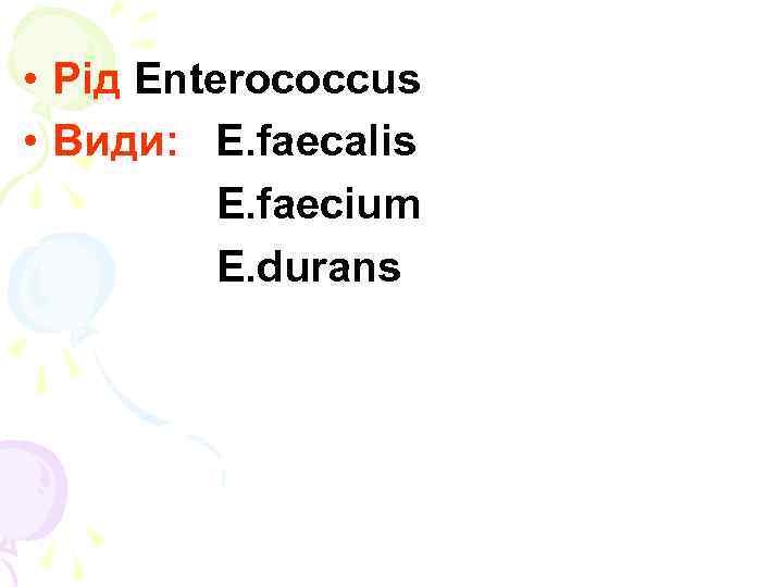  • Рід Enterococcus • Види: E. faecalis E. faecium E. durans 