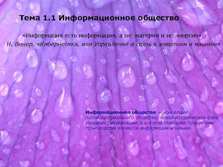 Тема 1. 1 Информационное общество «Информация есть информация, а не материя и не энергия»