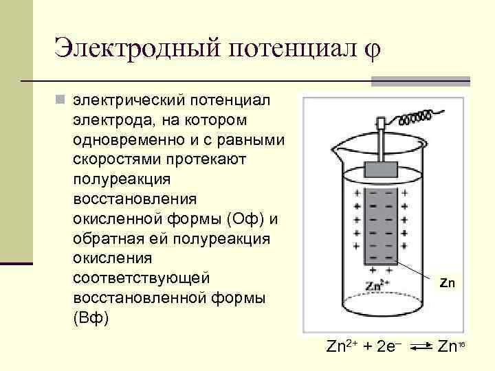 Электродный потенциал φ n электрический потенциал электрода, на котором одновременно и с равными скоростями