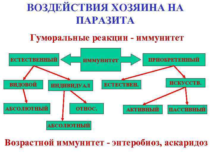 ВОЗДЕЙСТВИЯ ХОЗЯИНА НА ПАРАЗИТА Гуморальные реакции - иммунитет ЕСТЕСТВЕННЫЙ ВИДОВОЙ иммунитет ИНДИВИДУАЛ АБСОЛЮТНЫЙ ОТНОС.