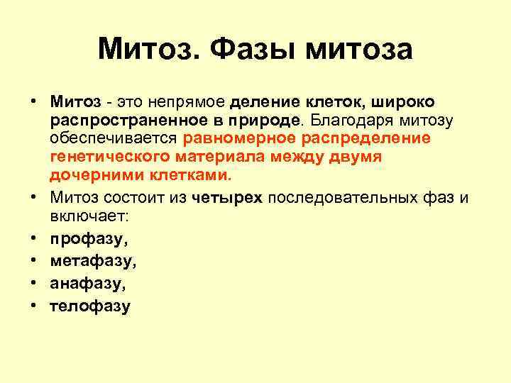  Митоз. Фазы митоза • Митоз - это непрямое деление клеток, широко распространенное в