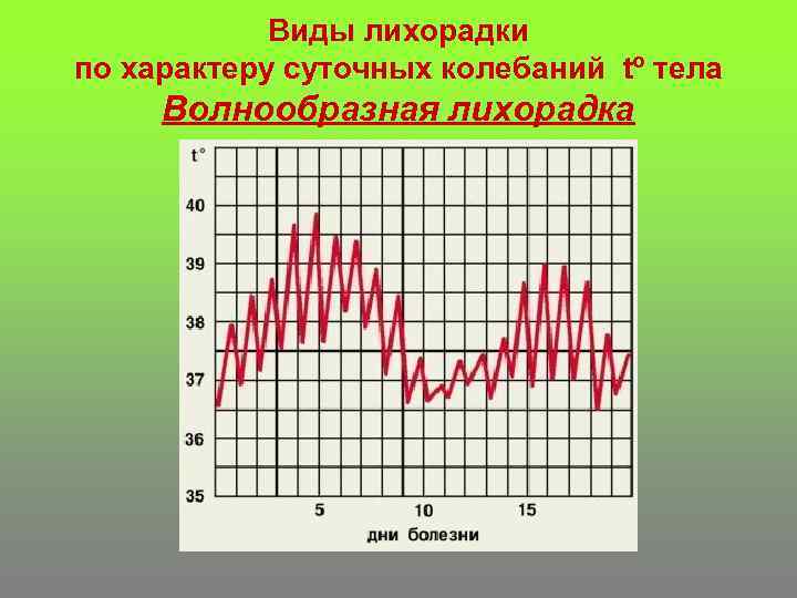 Виды лихорадки по характеру суточных колебаний tº тела Волнообразная лихорадка 