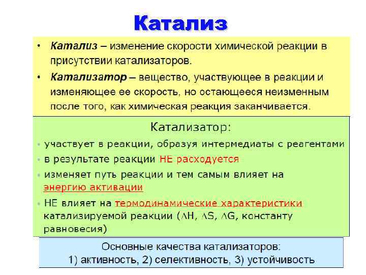 Катализ 