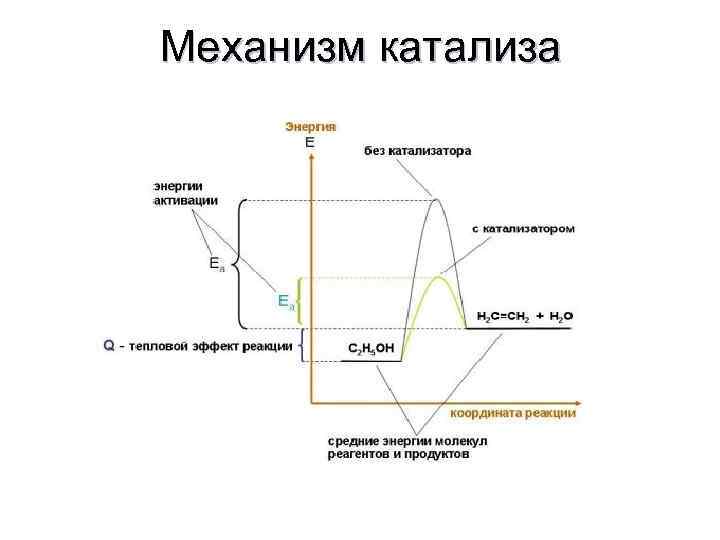 Механизм катализа 